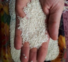برنج نیم دانه | هر کیلو 86 هزار تومان!